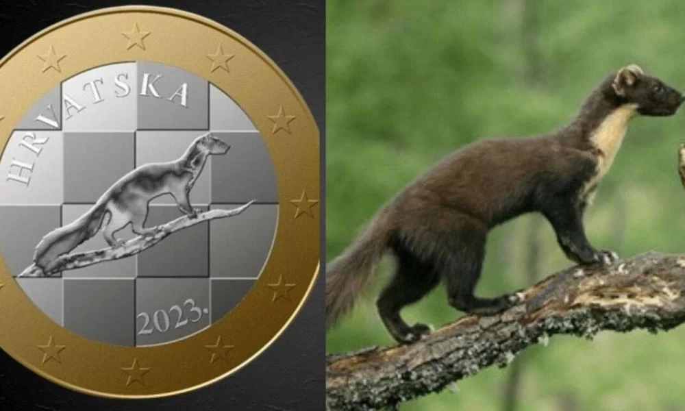 Κροατία: Το κουνάβι του ευρώ αποσύρθηκε εξαιτίας λογοκλοπής